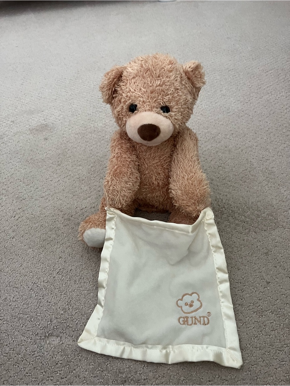 Gund Peek A Boo Bear